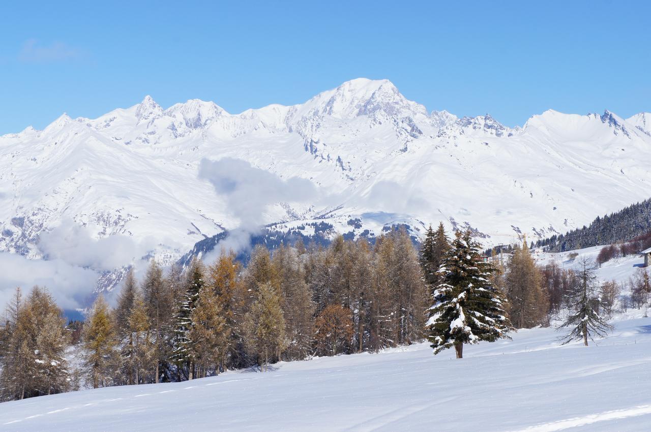 Chalet Les Amis Peisey-Nancroix Eksteriør billede